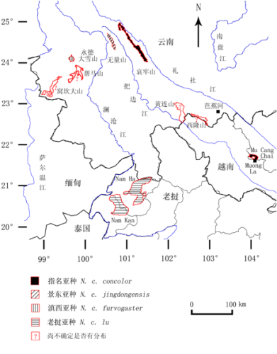 位于云南中部的无量山和哀牢山是西黑冠长臂猿的集中分布区,种群数量